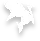bắn cá icon