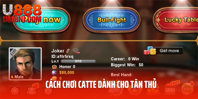 Cách chơi Catte dành cho tân thủ