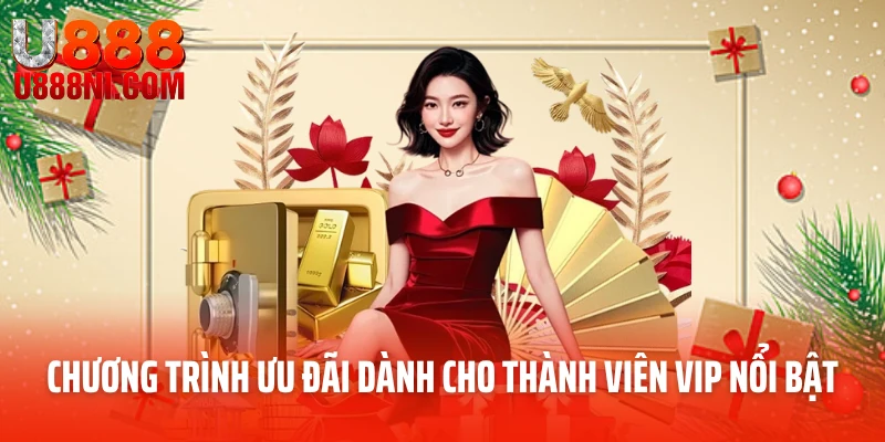 Chương trình ưu đãi dành cho thành viên VIP nổi bật