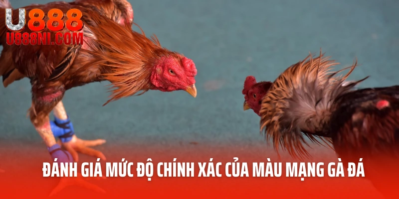 Đánh giá mức độ chính xác của màu gà đá