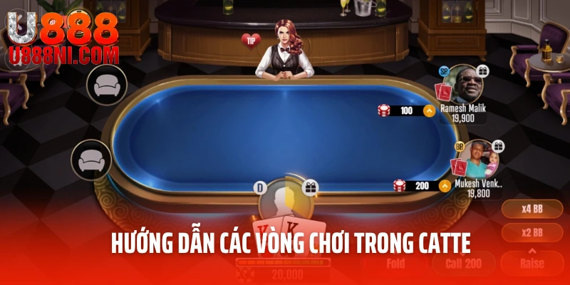 Hướng dẫn các vòng chơi trong Catte