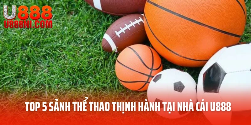 Top 5 sảnh thể thao thịnh hành tại nhà cái U888