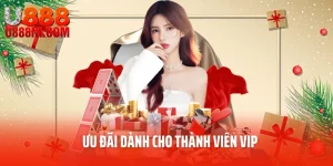 Ưu Đãi Dành Cho Thành Viên Vip